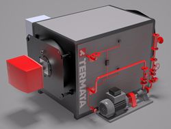 Парогенераторы промышленные Termata KX 1000