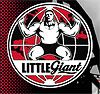 LITTLE GIANT CORPORATION
