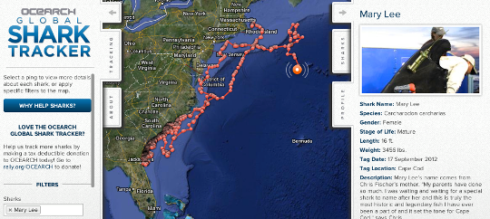 Caterpillar и OCEARCH договорились о многолетнем партнерстве