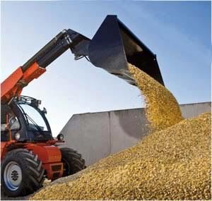 Телескопический погрузчик Magsi