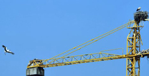 Башеннный кран