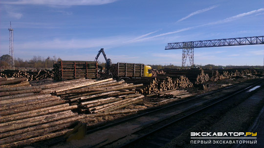На территории ИП Витебская лесопилка