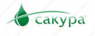 Сакура
