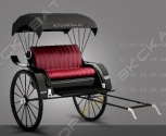 Auto-riksha