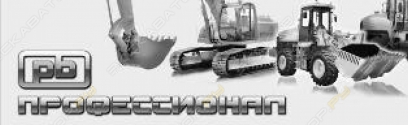 Профессионал