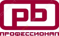 Профессионал