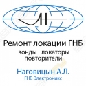Наговицын, ИП