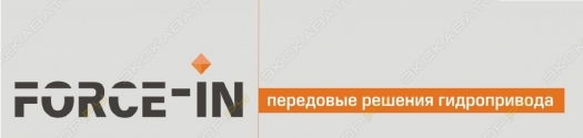 Форс-Ин