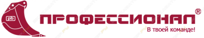 Профессионал