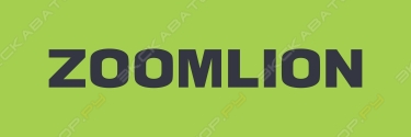 Zoomlion Heavy Industry  Science & Technology Co. Ltd