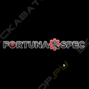 Фортуна