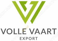 VVExport
