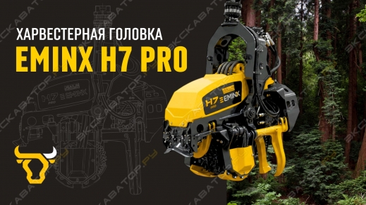 Официальный старт! Решение найдено