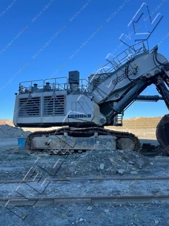 Liebherr R 9250 [7]