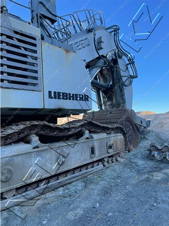 Liebherr R 9250 [3]