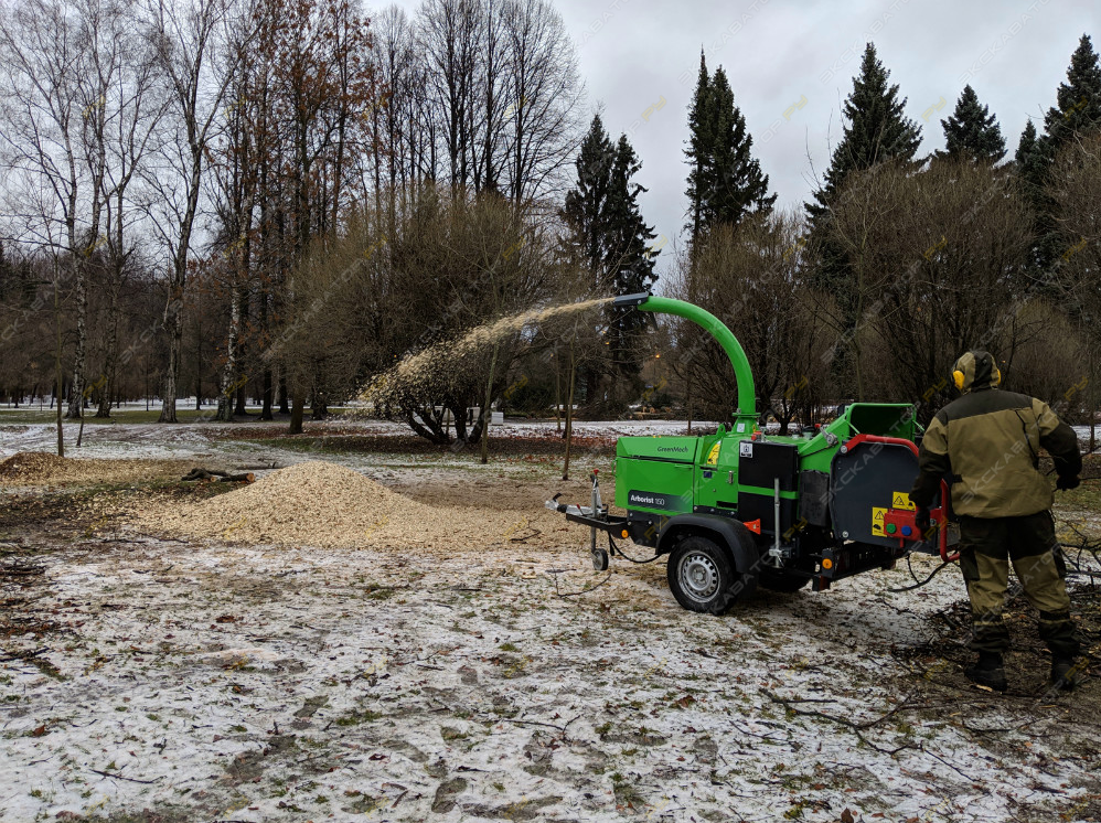 Arborist 190 [3]