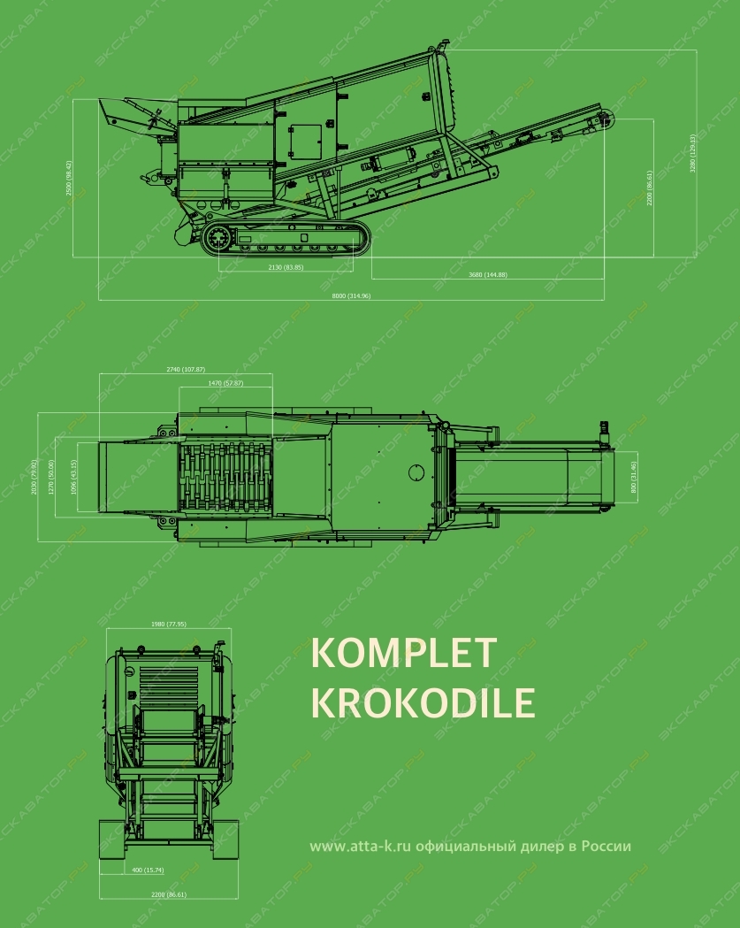 Komplet Krokodile [6]