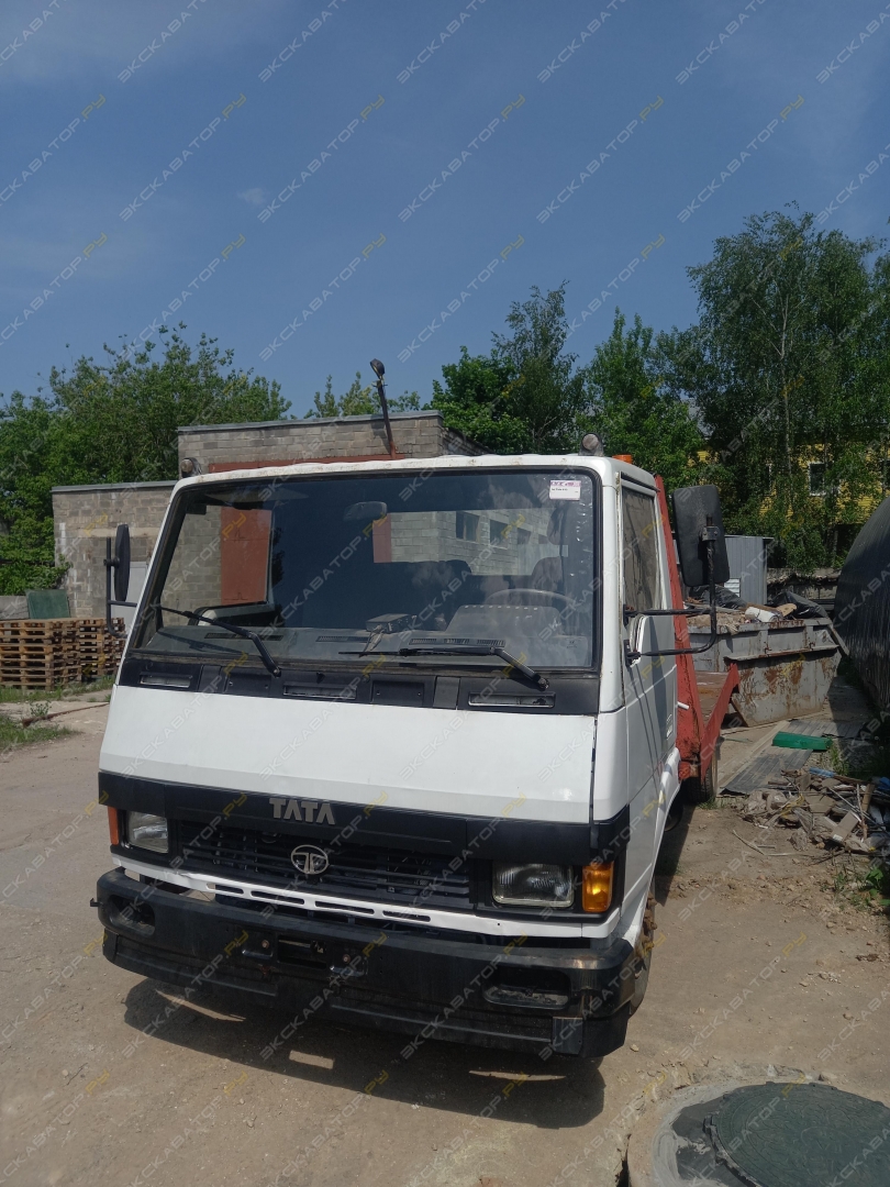 Tata-613 Амур-4346 (2 лом. платф.) [7]