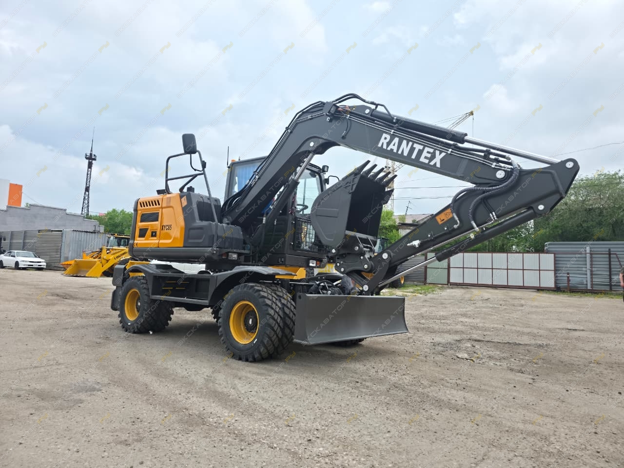 XYC85 [1]
