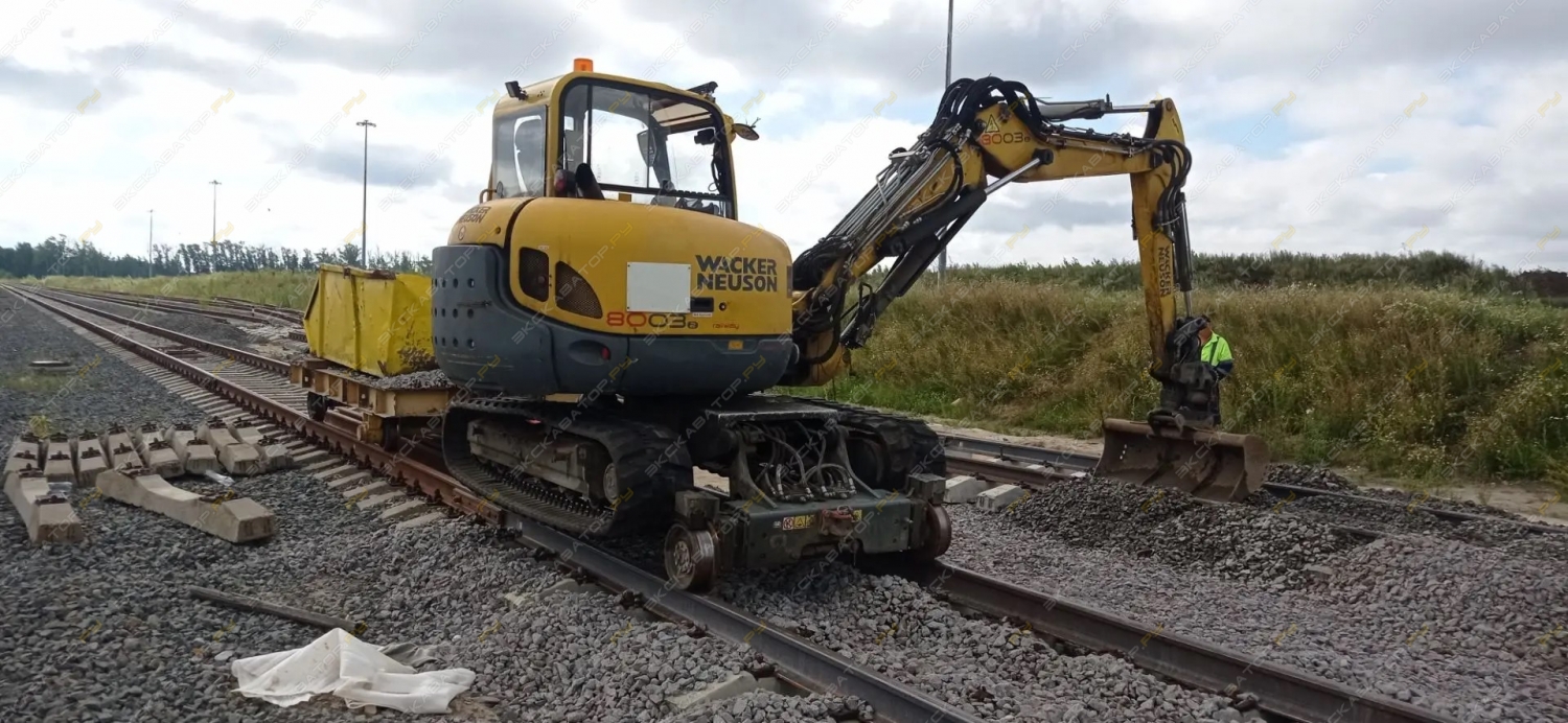 Wacker Neuson 8003 [1]