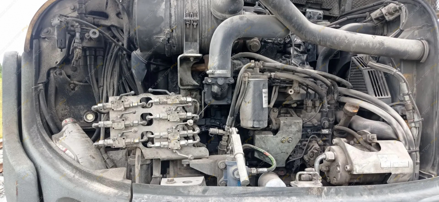 Wacker Neuson 8003 [6]