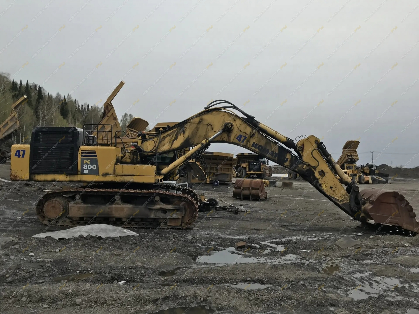 Komatsu PC800-Е0 [2]