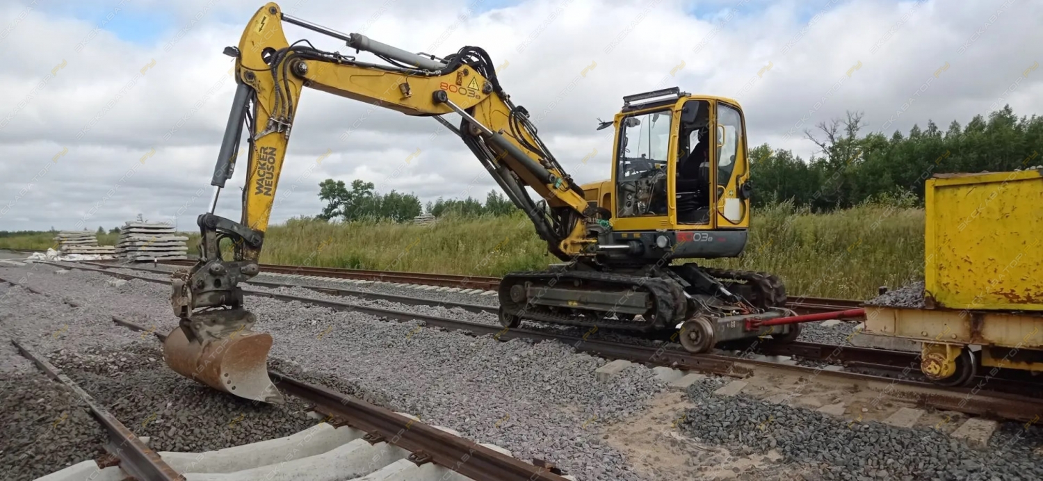 Wacker Neuson 8003 [0]