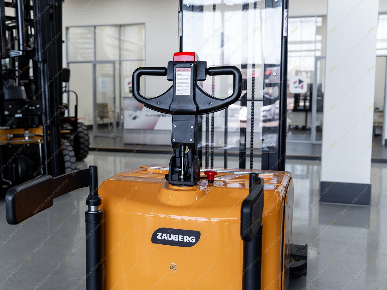 Zauberg S1236 [8]