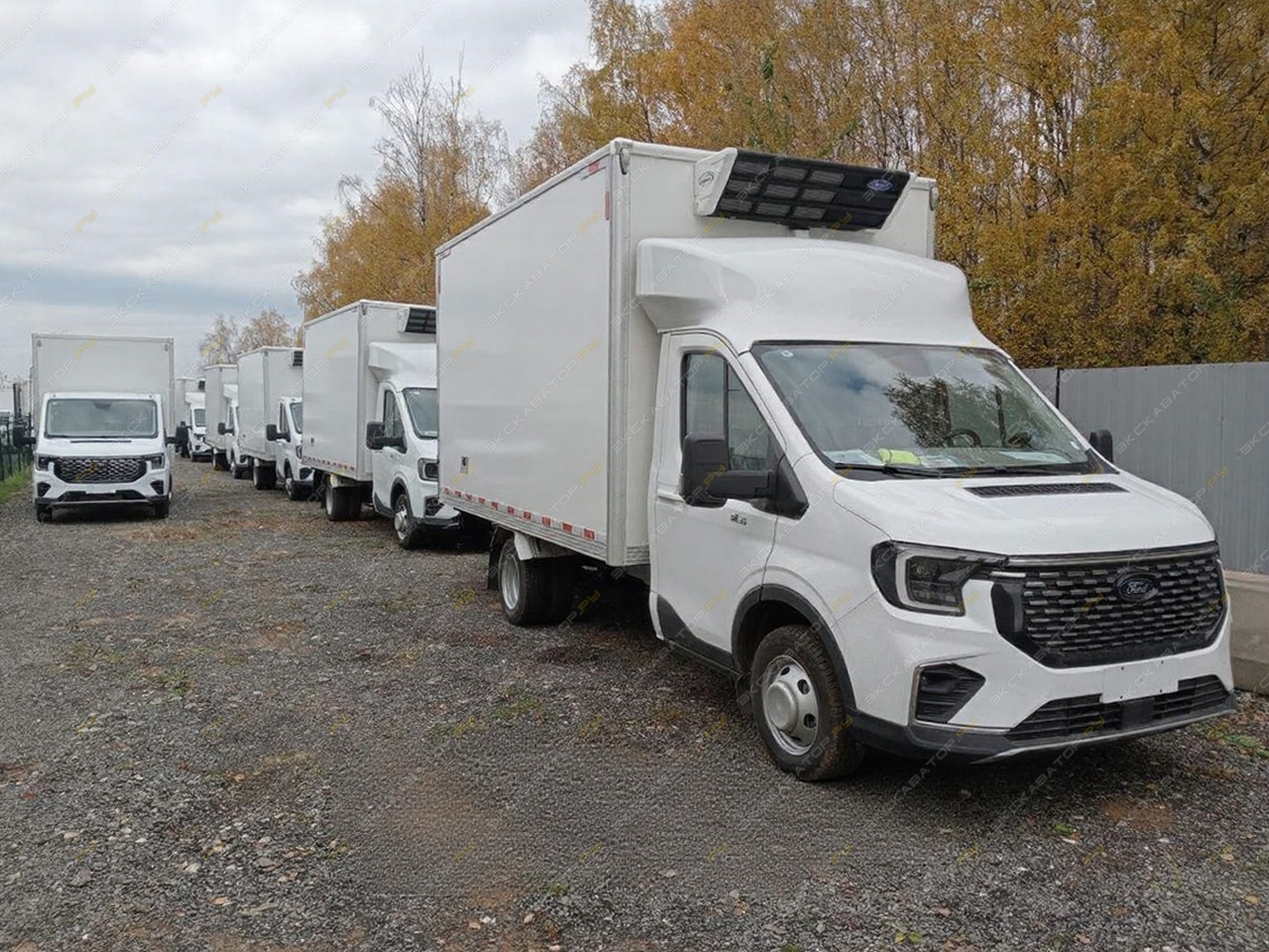 Ford Transit L2H3 [1]
