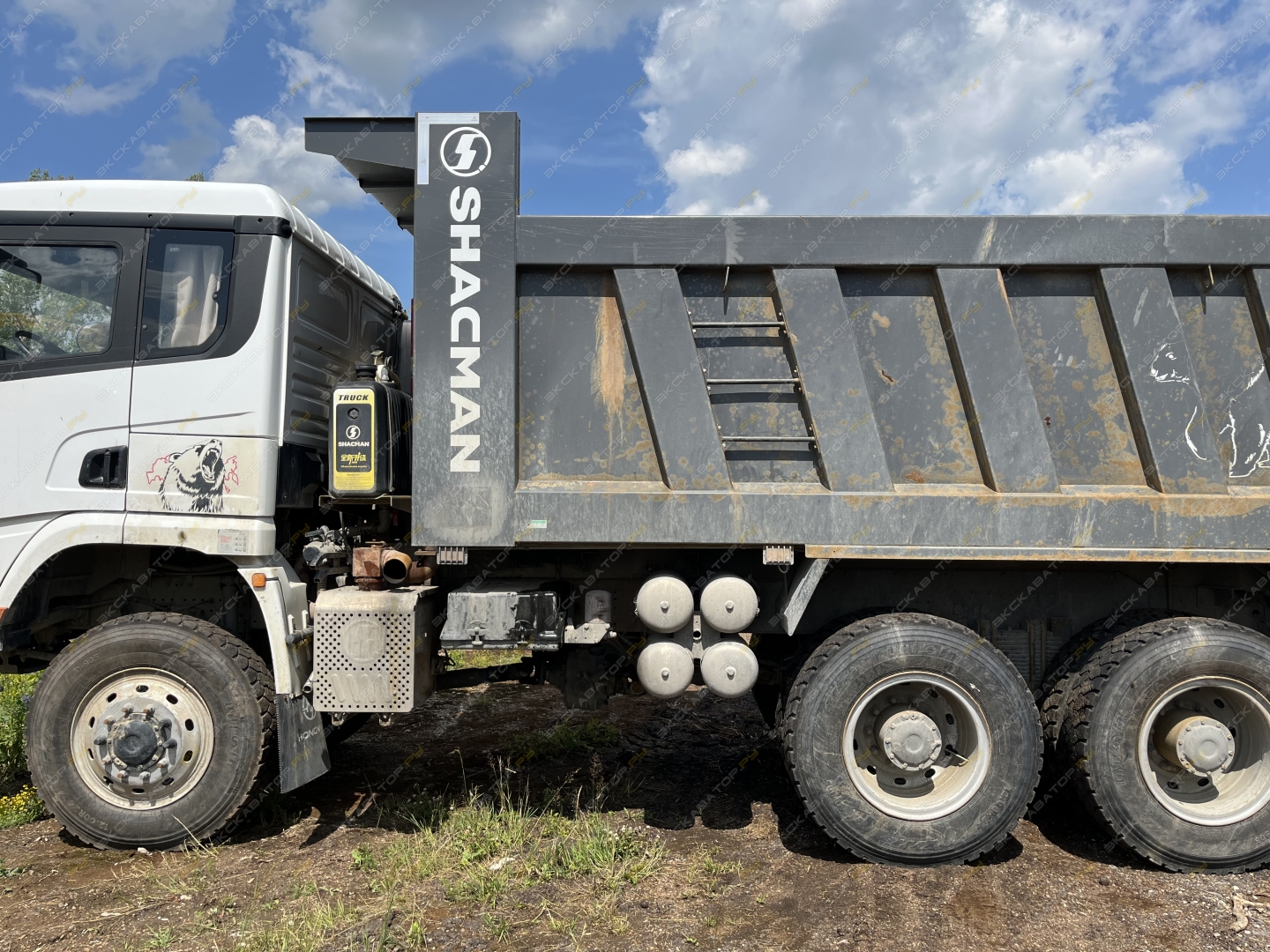 SX32586T385 [6]