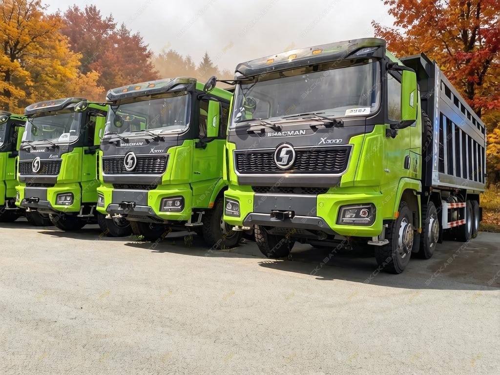 Shacman SX32586V384 [0]