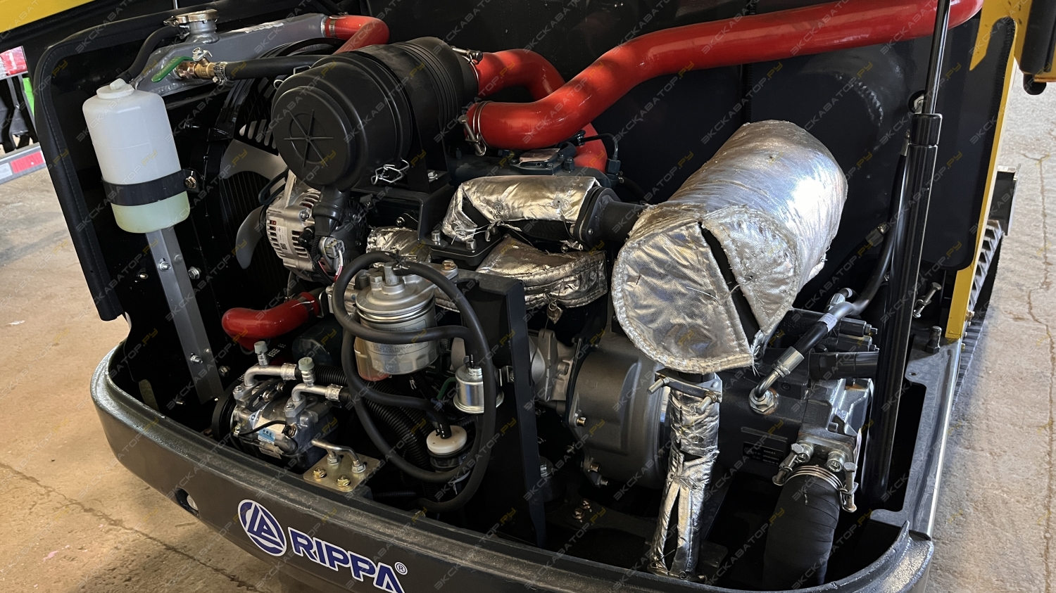 Rippa R350 [6]