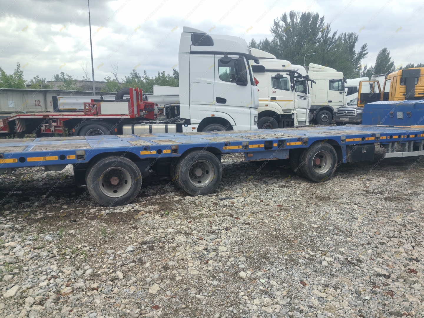 9854 [11]