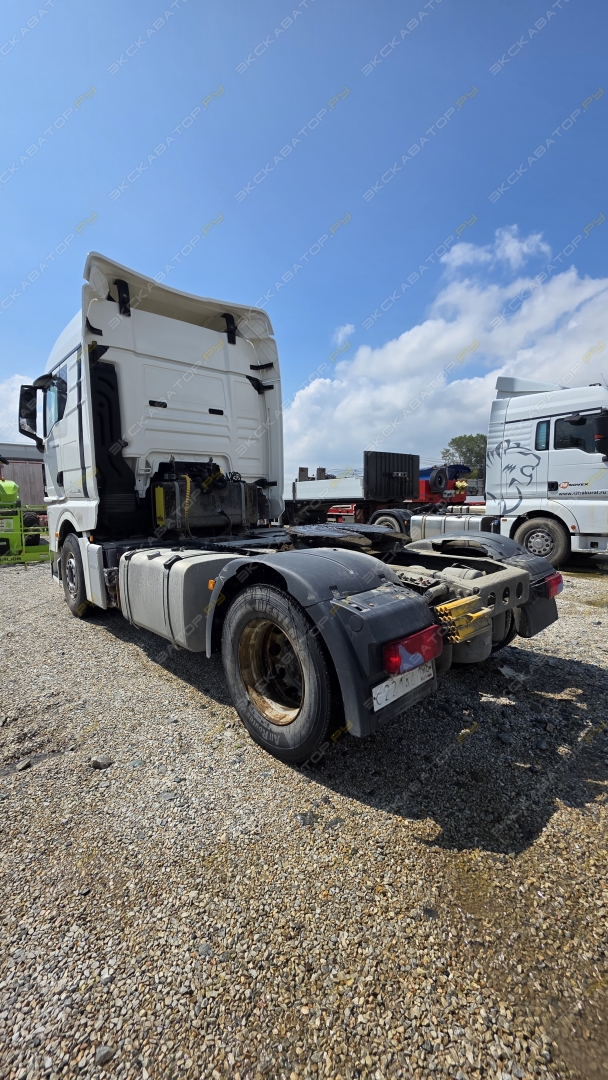 TGX [6]