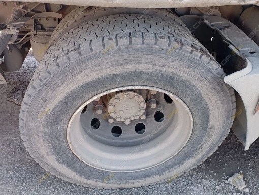 XF [7]