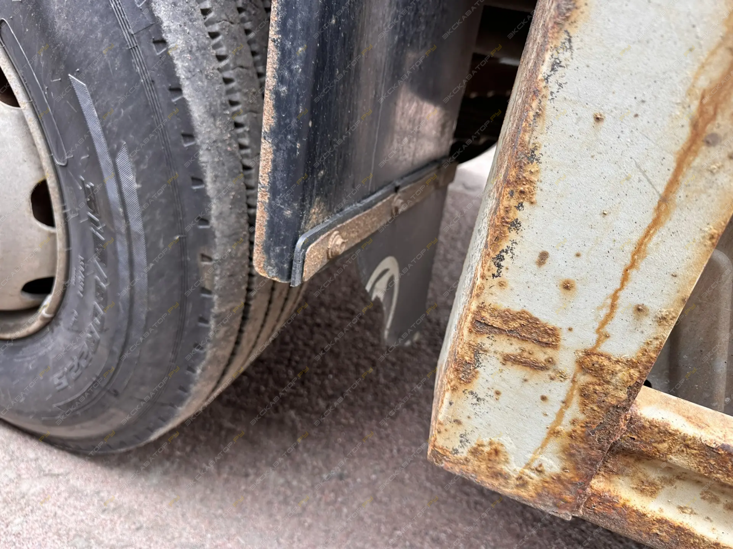 SX33186V366 [29]