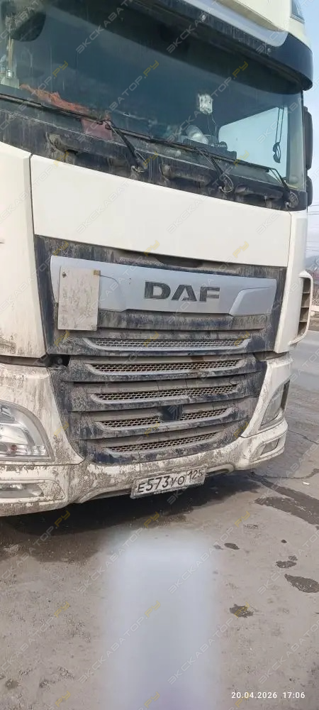 XF [1]