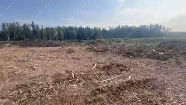 Timbertrack ТТ-4М [3]