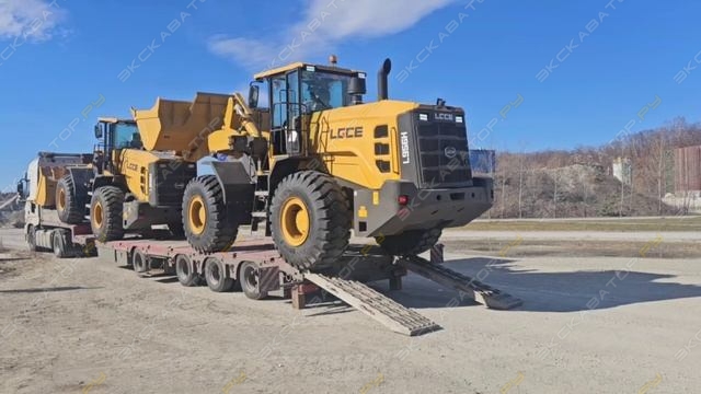 L956H [11]