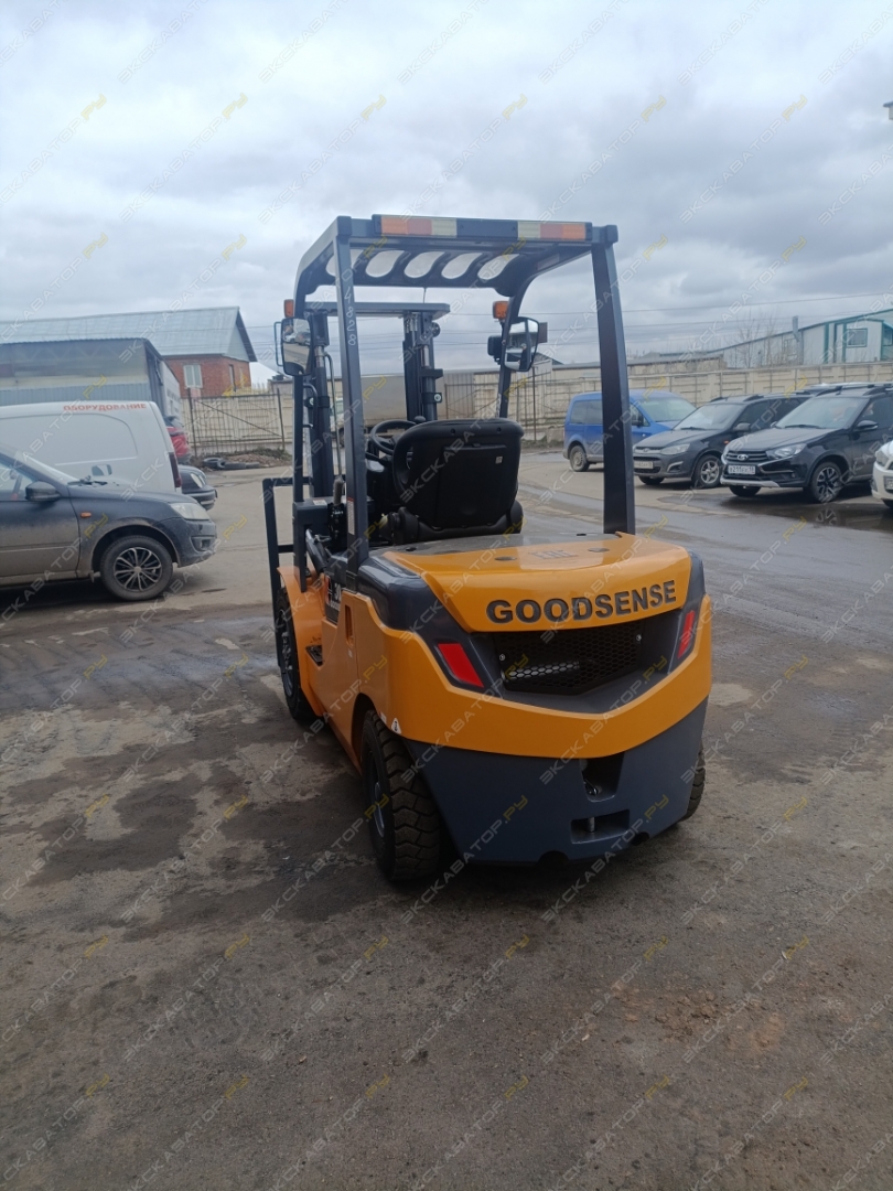 Goodsense FD30G-X12 [2]