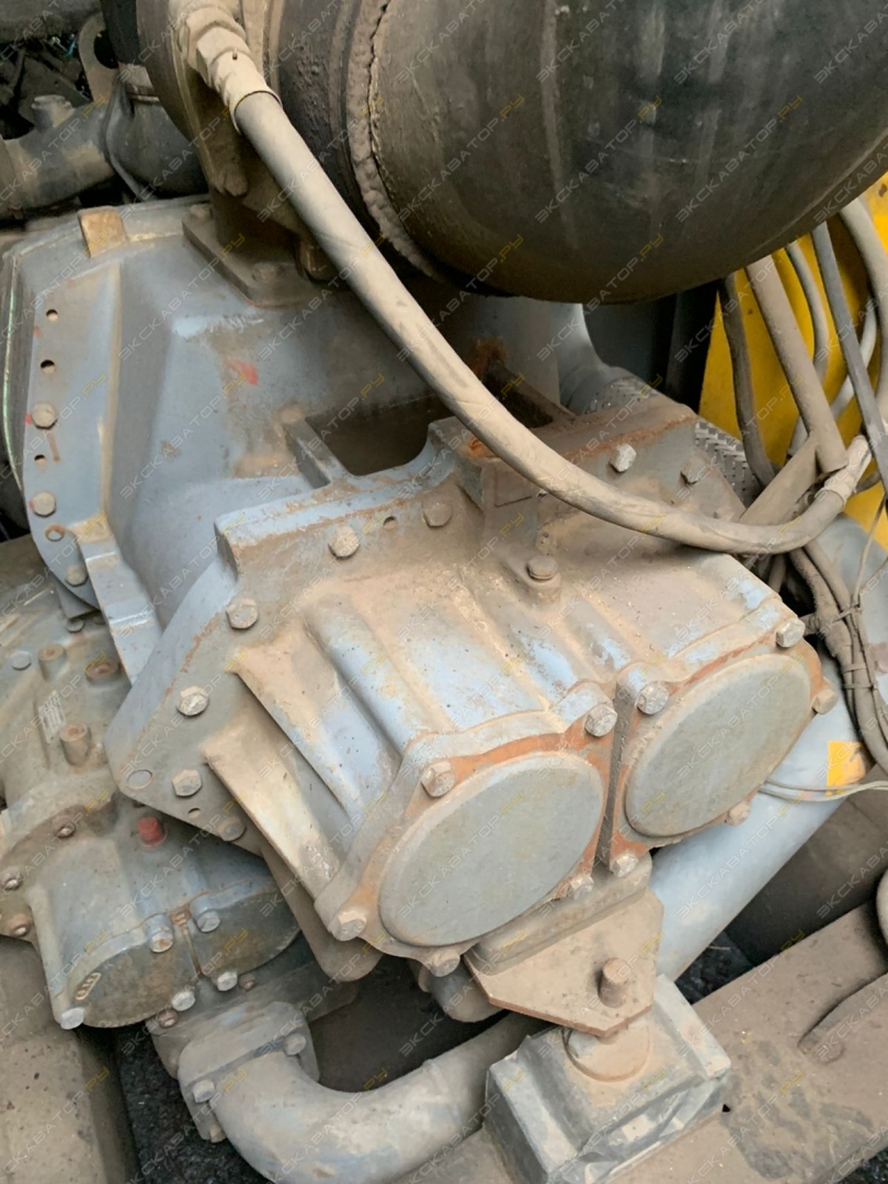 XRHS 485 [5]