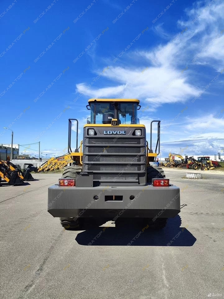Lovol FL953F-N [3]