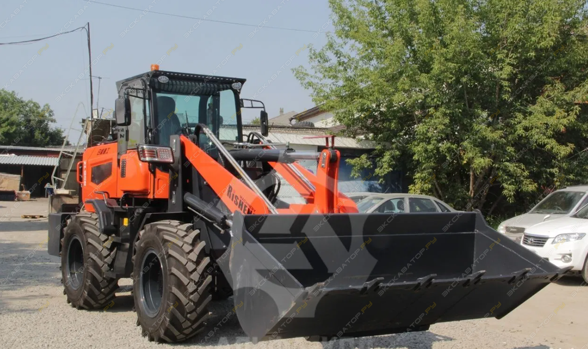 Risheng ZL958 [1]