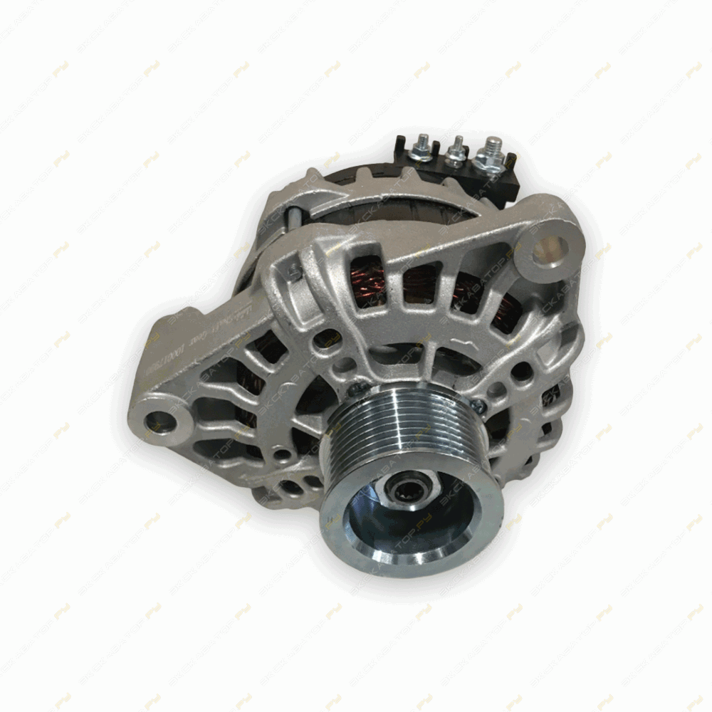 Генератор ручейковый WP10 EURO 5 SHACMAN X3000 [1]