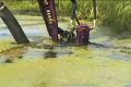 Powerdredging PD3000 [5]