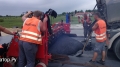 HYDROG RAL 4500 [2]