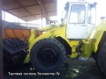 Liebherr L541 [1]