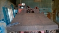 тдт-55 [4]