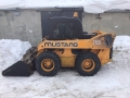 Mustang 2109 [3]