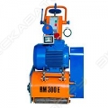 rm 300e [1]